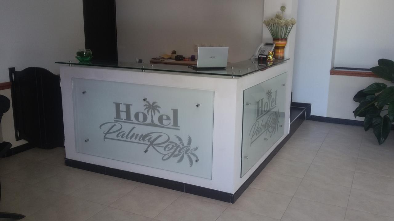 Hotel Palma Roja Гранада Екстер'єр фото